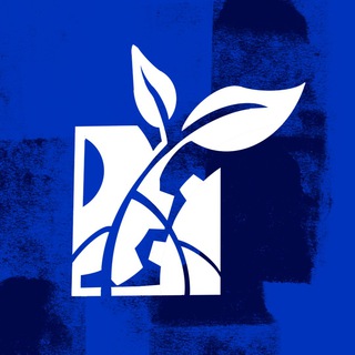Telegram channel Disrupt now! logo