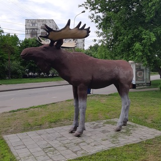 Логотип телеграм канала @districtmetrogorodok — Район Метрогородок