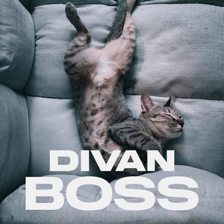 Логотип телеграм канала @divan_boss1 — Divan Boss ТЦ Парк Хаус