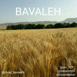 لوگوی کانال تلگرام divar_bavaleh — کانال بخش باوله