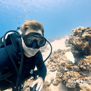 Логотип телеграм канала @divers_diving — Дайвинг и морская жизнь 🐡
