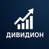 Логотип телеграм канала @dividion_inv — Дивидион