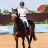 Логотип телеграм канала @divil649 — 𝐇𝐨𝐫𝐬𝐞 𝓿𝓵𝓸𝓰 𝓫𝓵𝓲𝓷𝓬𝓱𝓲𝓴𝓪🥞