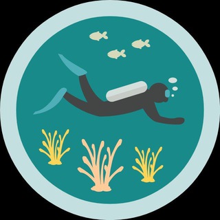 Логотип телеграм канала @diving_dgo — Дайвинг Дальнегорск🌊