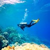 Логотип телеграм канала @divingpeople — Diving people | О дайвинге и дайверах