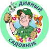 Логотип телеграм канала @divniysadovnik — Дивный садовник | Дача