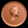Telegram channel DIVO logo