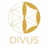 Логотип телеграм канала @divus_space — Пространство Divus