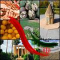 لوگوی کانال تلگرام diyarkhoshbakhti — تویسرکان ، دیار #خوشبختی