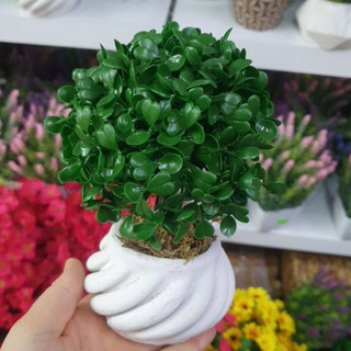 Telegram kanalining logotibi diyyashop — BARBARIS HOME🇨🇳