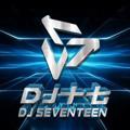 Logo saluran telegram dj17remix1 — 「DJ十七音乐私人订制」串烧频道