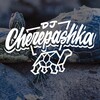 Логотип телеграм канала @djcherepashka — dj cherepashka