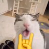 Логотип телеграм канала @djizooooo — djizou
