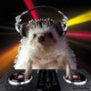 Логотип телеграм канала @djpiskattg — Dj Piska