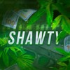 Логотип телеграм канала @djsejdr — SHAWTY