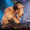 Логотип телеграм канала @djsker — DJ Sker aka Techno Kozel (Скёр) ❤️ official page