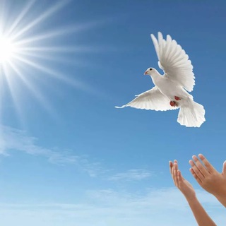 Логотип телеграм канала @djvarlamova — Мирное небо