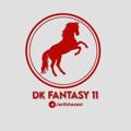 Logo saluran telegram dkfantasyofficial — DK FANTASY (basketball) 🇮🇳