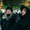 Логотип телеграм канала @dkmaps — AU таракашины