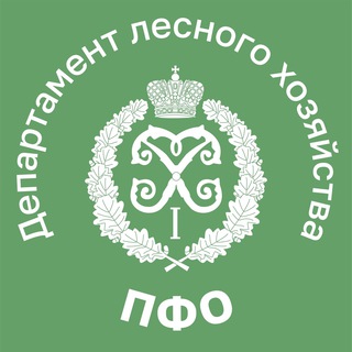 Логотип телеграм канала @dlhpopfo — Департамент лесного хозяйства по ПФО