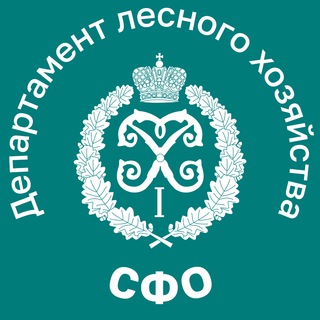 Логотип телеграм канала @dlhsfo — Департамент лесного хозяйства по СФО