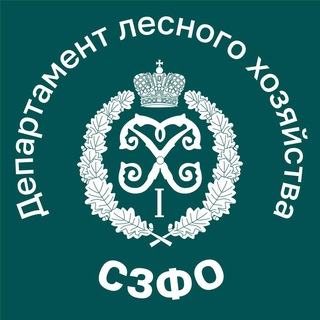 Логотип телеграм канала @dlhszfo — Департамент лесного хозяйства по СЗФО