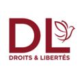 Logo de la chaîne télégraphique dlinfos - DL - Droits et Libertés