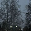 Логотип телеграм канала @dlldlql — МЫ ЛюБиМ....💗