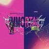 Логотип телеграм канала @dlmrtal — IMMORTAL port