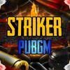 Telegram kanalining logotibi dls_uzbekistan1o — 💎 STRIKER PUBGM