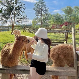 Логотип телеграм канала @dlwlrma_army_blink — ˚ₓ 𝙇𝙞𝙜𝙝𝙩 𝙆𝙤𝙧𝙚𝙖 🇰🇷