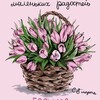 Логотип телеграм канала @dly_dryzei — 🌷ДЛЯ КАЖДОГО ДНЯ🌷