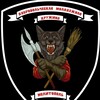 Логотип телеграм канала @dmd_zo — Добровольческая молодежная дружина
