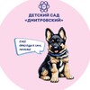Логотип телеграм канала @dmitrovskiy11 — Детский сад «Дмитровский»