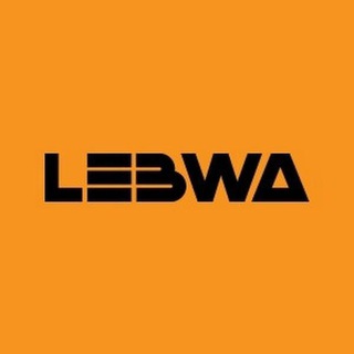 Логотип телеграм канала @dmitrylebwa — LeBwa