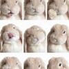 Логотип телеграм канала @dmnrinova — blessedbyg8d