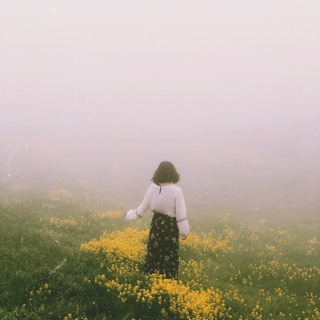 لوگوی کانال تلگرام dmusicplaylist — Didi’s playlist