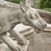 Логотип телеграм канала @dnabook — ДНК, книги, котики