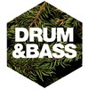 Logo of telegram channel dnbarchive — Drum and Bass Archive - FLAC Music