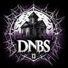 Logo of telegram channel dnbs13club — DNBS13