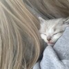 Логотип телеграм канала @dnchvx — плакшери ^_