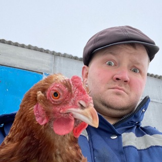 Логотип телеграм канала @dnevnik_tatarina — Дневник Татарина