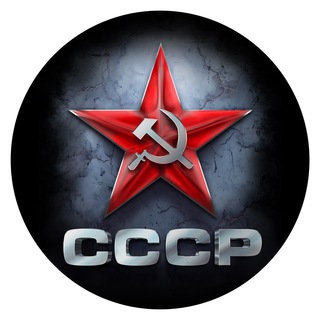 Логотип телеграм канала @dnevnik_vyzhivalshchika — Воспоминания СССР