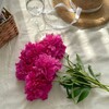 Telegram channel Дневник Книголюба|Amis☀️ logo