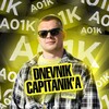 Логотип телеграм канала @dnevnikcapitanika — Dnevnik Capitanik’a