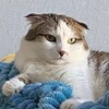 Логотип телеграм канала @dnevniksuetologa — Дневник Суетолога