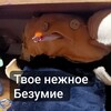 Логотип телеграм канала @dniwduhi — Твоё нежное безумие:3