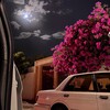 شعار قناة تلجرام dnoo2095 — مٓـــدار ﴾