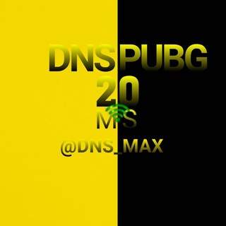 لوگوی کانال تلگرام dns_max — دی ان اس پابجی | DNS PUBG