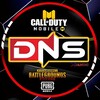 لوگوی کانال تلگرام dns_gamingx — دی ان اس گیمینگ | DNS GAME